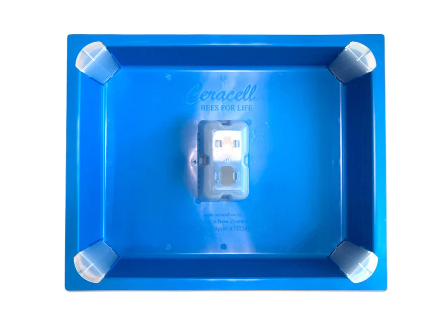 Ceracell 10 Frame | Top Feeder | No Rim