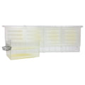 Hogg Halfcomb | Medium Comb Honey Frame