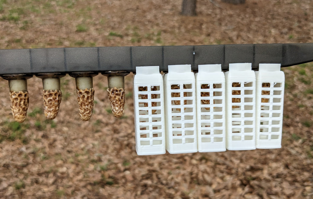 EZPZ Queen Cages, pk30