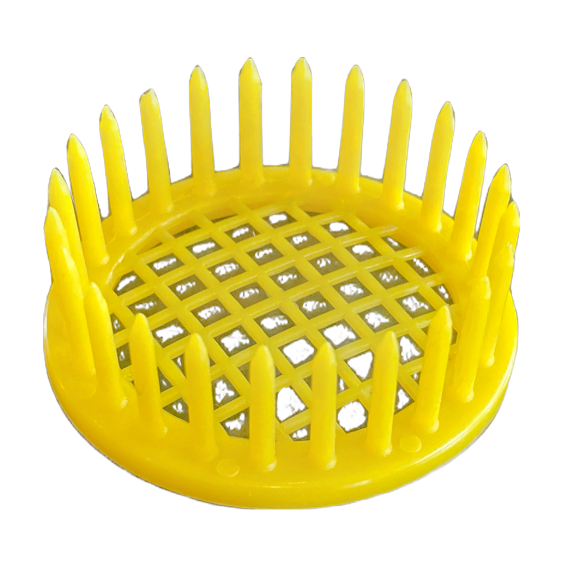 Push-In Queen Marking Cage